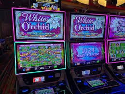 Dashboard papan peringkat Grand Slam di aplikasi mobile royal togel menampilkan peringkat pemain dan hadiah